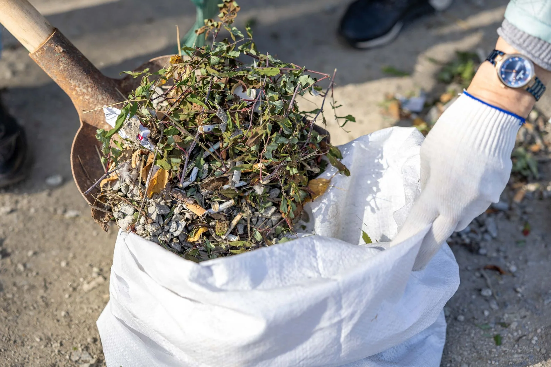 Gartenabfälle werden bei der Gartenpflege gesammelt