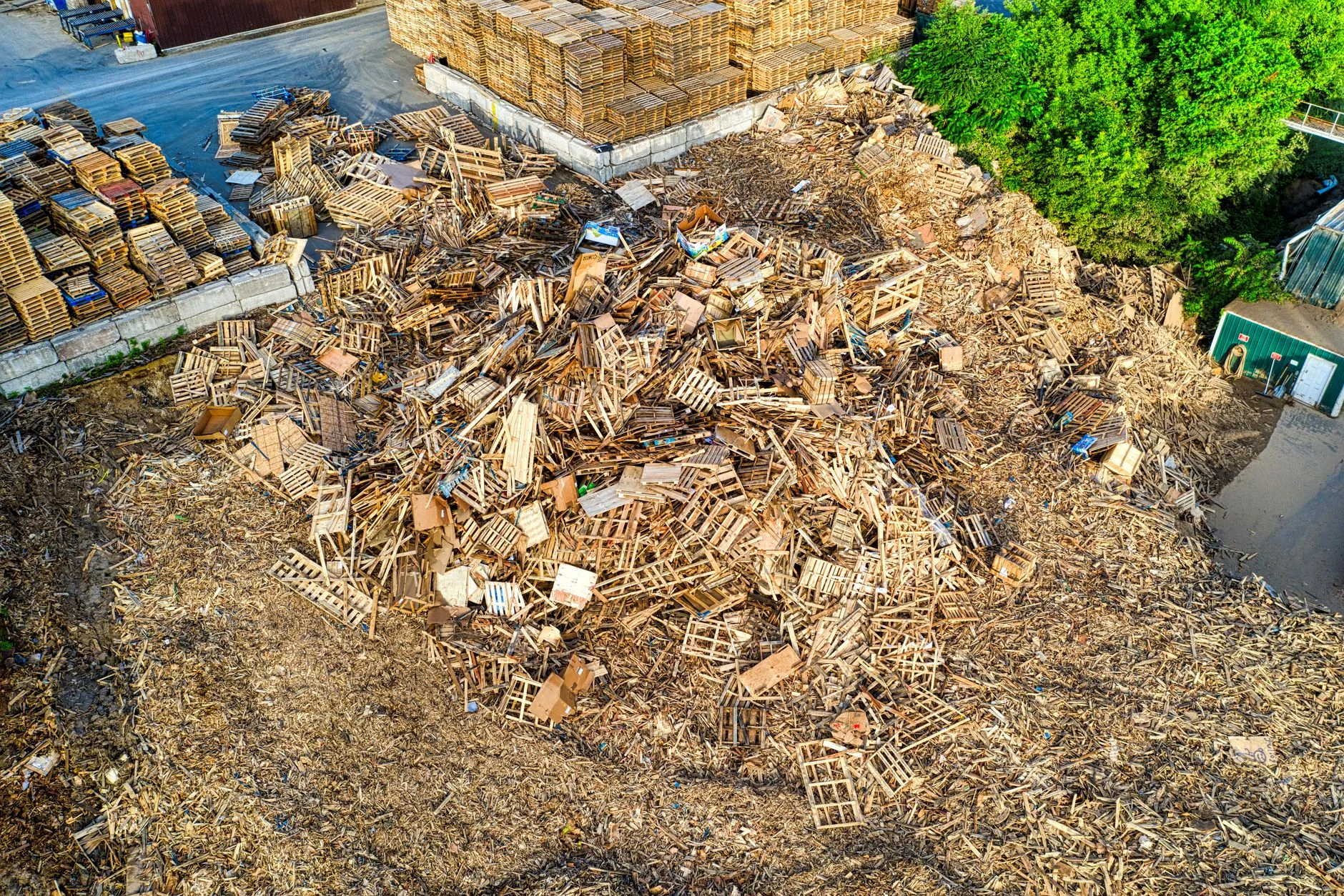 Gestapelte Holzpaletten auf einem Recyclinggelände