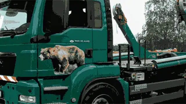 Anbieterbild: Andreas Bähr Containerdienst